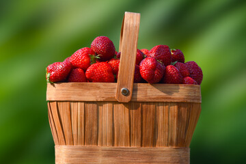 Front view of a basket of fresh strawberries against a green blurred background