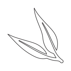 Eucalyptus leaf line icon