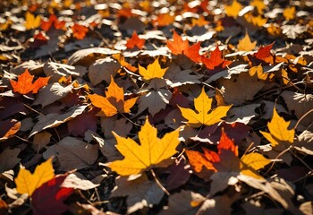 Ein Haufen Herbstlaub auf dem Boden