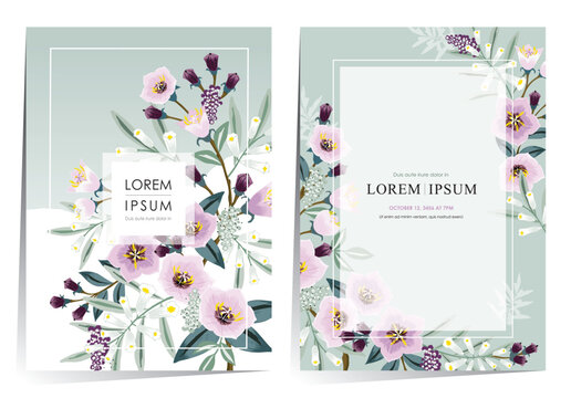 Vector Illustration Template Set of Summer Flowers in Cool and Fresh Colors 	