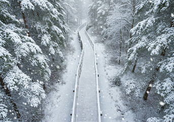 A snowy wooden walkway through a forest covered in snow during a heavy winter snowfall day