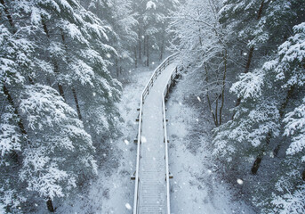 Aerial view of a snowy wooden bridge through a forest during a winter snow storm with dense trees