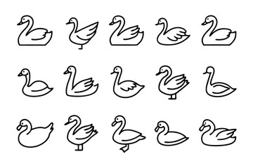 Swan Icon Collection: A series of swan icons, showcasing various poses and styles, presented in clean and modern line art. © Murshida