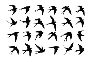 Birds in Flight Silhouette: A graphic display showcases the grace of birds soaring through the open sky, captured in elegant black silhouettes.
