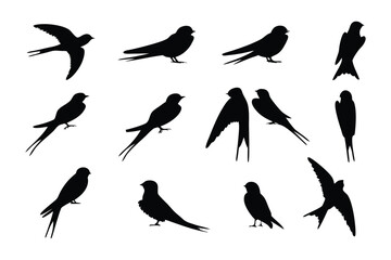 Obraz premium Avian Symphony: Silhouette studies of birds, each poised in a unique posture, showcase the fluid elegance of nature's winged creatures.