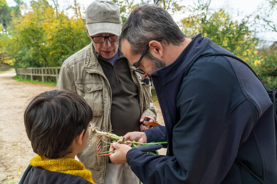 Family bonding through harvesting garlic and learning
