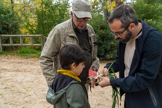 Family harvesting garlic and learning about wild plants