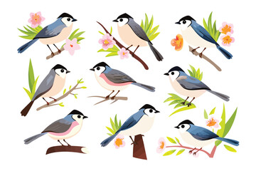 Variety of Bird: A collection of various birds perched on branches with delicate flowers. Each bird features different traits, adding to the diversity of the composition.