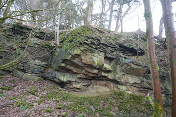 Scenic winter woodland landscape featuring moss-covered sandstone rock formation in Eyam, The Peak District, England.