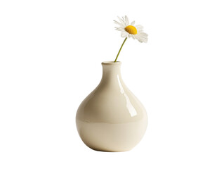flower in vase on white background