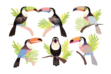 Naklejka premium Tropical Toucans Display: A vibrant collection of toucans, showcasing their distinctive multicolored beaks and plumage, perched on branches amidst lush tropical foliage.