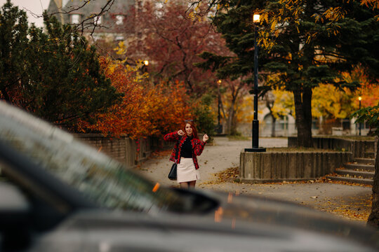 Autumn stroll in montreal with vibrant foliage