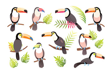 Toucans in Paradise: Playful Toucans grace the scene, poised on verdant branches against a pristine backdrop, showcasing nature's vivid hues and capturing the essence of exotic wildlife.
