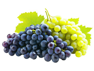 bunch of grapes isolated on white background