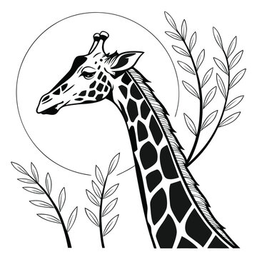 Cute wild giraffe vector portrait with long neck and brown spots