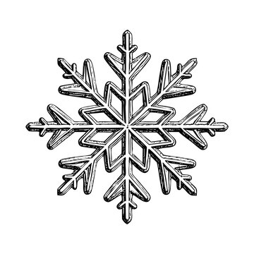 Snowflake sketch engraving black and white outline. Scratch board imitation. illustrated in vintage line art style on a white background.