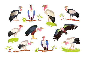 Vultures in Flight: A collection of strikingly illustrated vultures, each poised on a branch or in flight, embodying resilience, strength, and the wild spirit of nature.
