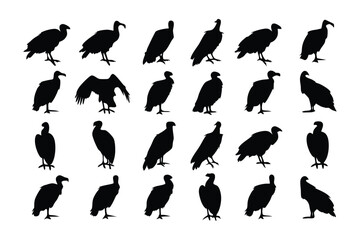 Vulture Silhouette Collection: A dramatic display of vulture silhouettes in various poses, representing the elegance and mystery of these magnificent birds against an undefined backdrop.