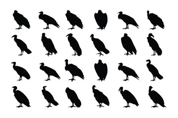 Vulture Silhouette Array: A striking arrangement of vulture silhouettes. Illustrating the unique form of these birds of prey with bold black outlines, perfect for projects related to wildlife, nature.