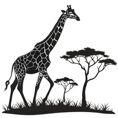 Naklejka premium Black silhouette of a giraffe walking through savanna with acacia trees and grass africa wildlife
