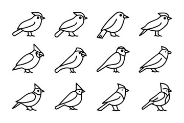 Fototapeta premium Elegant Avian Illustrations: A collection of twelve delicately rendered bird illustrations, each capturing the unique silhouette and characteristics of various avian species.