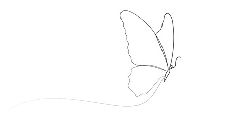 Butterfly continuous one line drawing.  Outline single art butterfly hand drawn sketch element on white background. Concept spring nature, fly. Vector Illustration