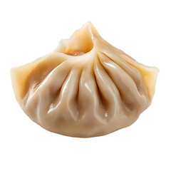 Delicious Pan-Fried or Steamed Dumpling Jiaoz with Pleated Design