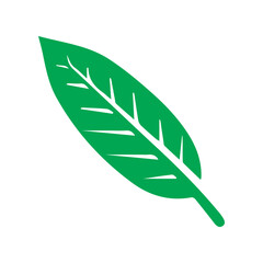 Leaf medlar colored icon