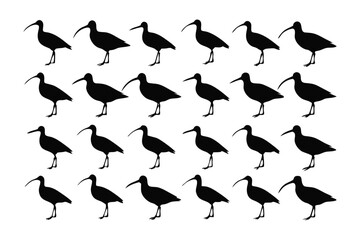 Silhouette of Birds: A flock of avian silhouettes presents a minimalistic yet captivating scene, with each bird poised elegantly, evoking the tranquility of nature.