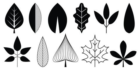 Set stylized geometric leaves, black isolated silhouette on white background, vector design