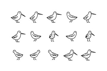 Monochrome Bird Flock: A meticulously crafted monochrome illustration presents a flock of birds, each one in a unique pose, offering a study in avian form and movement.