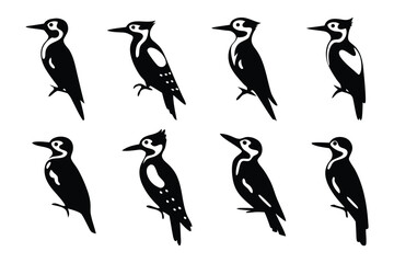 Woodpecker Collection: A collection of eight stylized woodpecker illustrations, showcasing the distinct silhouettes and intricate patterns of these fascinating birds.