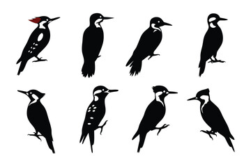 Naklejka premium Woodpeckers Silhouettes: A series of elegantly simple silhouettes of various woodpeckers, showcasing their distinctive forms and poses. Designed for a modern, minimalist aesthetic.
