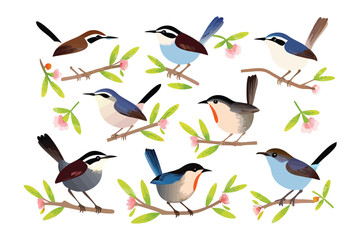 Feathered friends: A delightful collection of various birds perched gracefully on blossoming branches, a charming illustration of avian diversity.