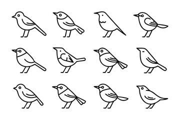 Twelve Birds of a Feather: A series of elegant black and white outline illustrations presents twelve distinct bird species, each captured with minimalist detail.