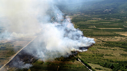 burning orchards in prespa , north macedonia,  