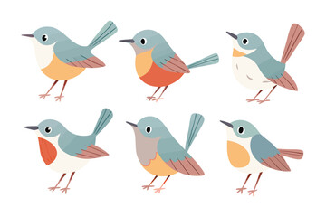 Bird Illustration Collection: A charming collection of stylized birds in various poses and colors, perfect for adding a touch of whimsy and natural beauty to any project.