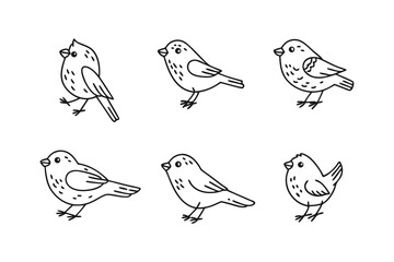 Avian Assemblage: A charming line art composition, featuring six delightful birds in various poses, creating a cohesive illustrative arrangement.