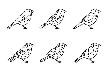 Fototapeta premium Bird Sketches: A collection of charming hand-drawn bird illustrations in various poses, perfect for adding a touch of nature and artistic flair to any project.