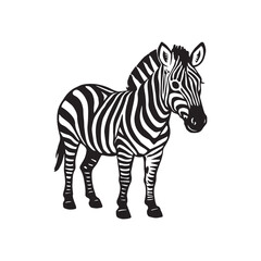 Obraz premium Zebra black and white vector illustration