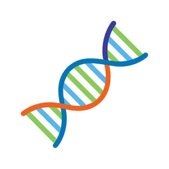 dna strand on white background