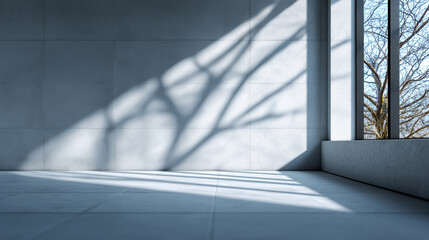 Obraz premium Minimalist concrete interior with dramatic natural light and tree shadow cast on the wall. 