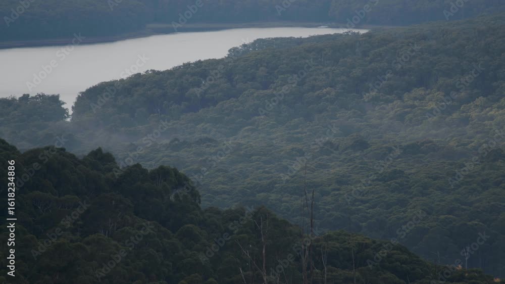 Poster timelapse of a forest and a river, both of which are hidden by mist.