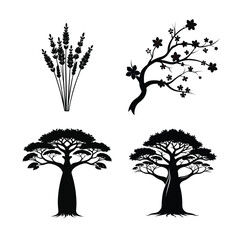 Silhouettes of lavender, sakura branch, and baobab trees isolated on white background
