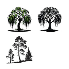 Three different types of trees are isolated on white background
