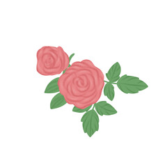 single rose flower