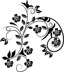 Image Processing Complete