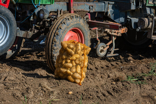 bag of fresh harvested potatoes in front of a tractor