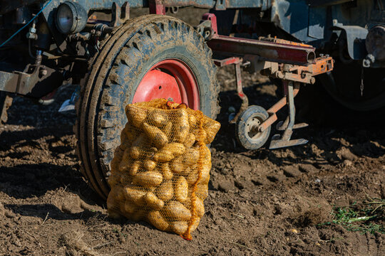 bag of fresh harvested potatoes in front of a tractor