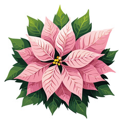 Poinsettia pink vector color illustration. Realistic image of Christmas symbol. Festive New Year plant	